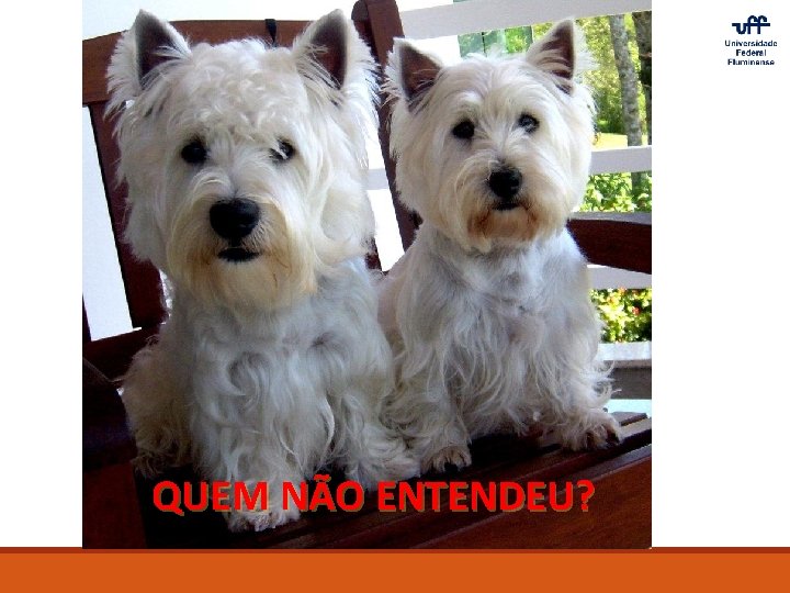 QUEM NÃO ENTENDEU? 