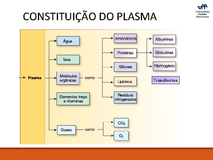 CONSTITUIÇÃO DO PLASMA Transferrina 