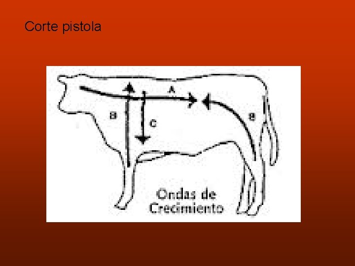 Corte pistola 