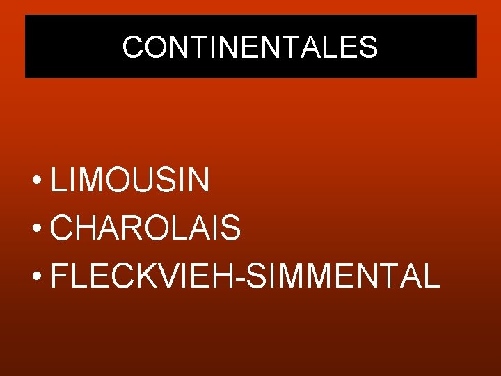 CONTINENTALES • LIMOUSIN • CHAROLAIS • FLECKVIEH-SIMMENTAL 