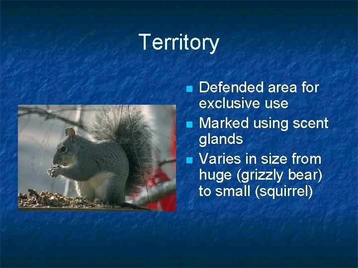 Territory n n n Defended area for exclusive use Marked using scent glands Varies