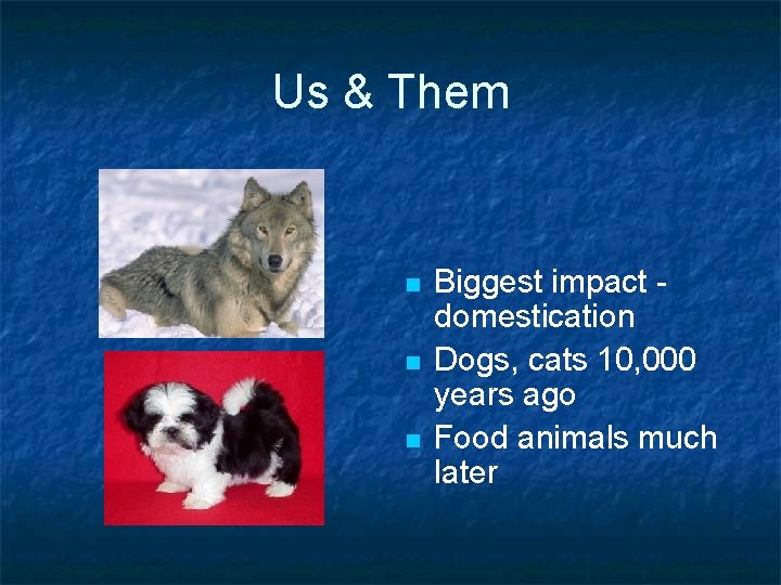 Us & Them n n n Biggest impact domestication Dogs, cats 10, 000 years