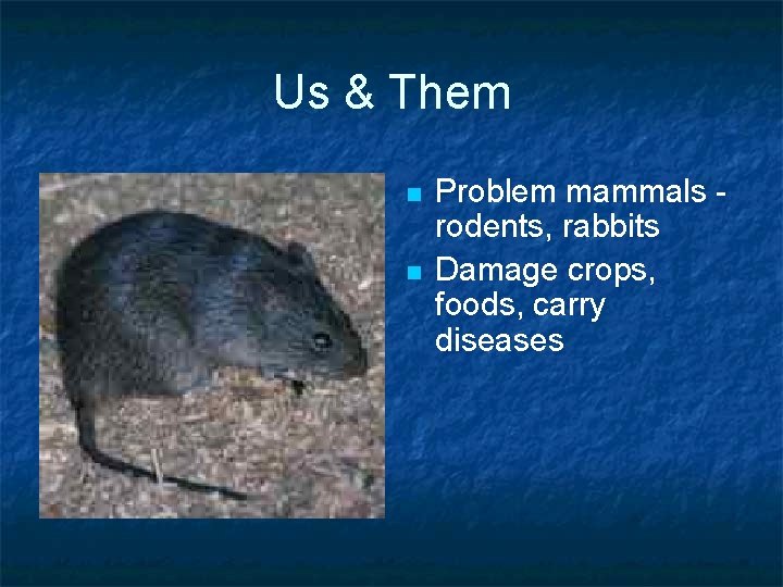 Us & Them n n Problem mammals rodents, rabbits Damage crops, foods, carry diseases