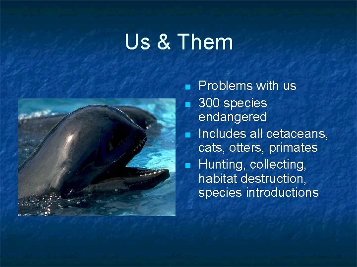 Us & Them n n Problems with us 300 species endangered Includes all cetaceans,