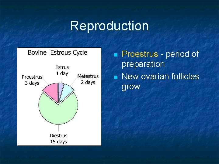 Reproduction n n Proestrus - period of preparation New ovarian follicles grow 