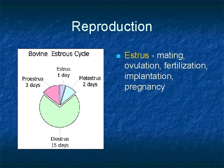Reproduction n Estrus - mating, ovulation, fertilization, implantation, pregnancy 