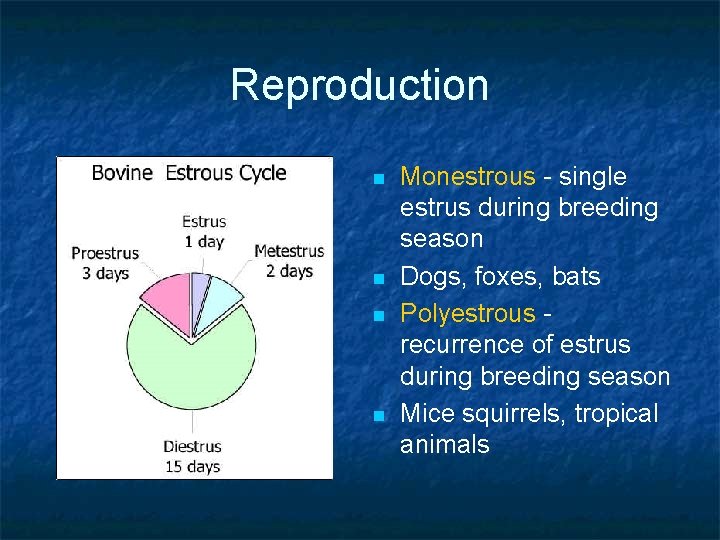 Reproduction n n Monestrous - single estrus during breeding season Dogs, foxes, bats Polyestrous