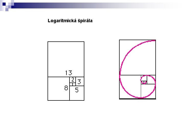 Logaritmická špirála 