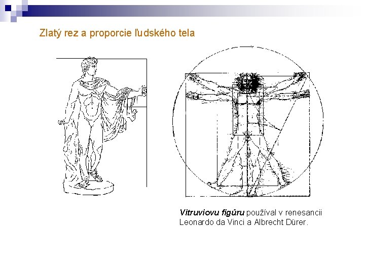 Zlatý rez a proporcie ľudského tela Vitruviovu figúru používal v renesancii Leonardo da Vinci