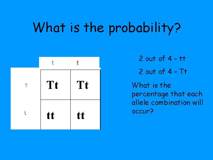 What is the probability? t t Tt Tt tt tt 2 out of 4