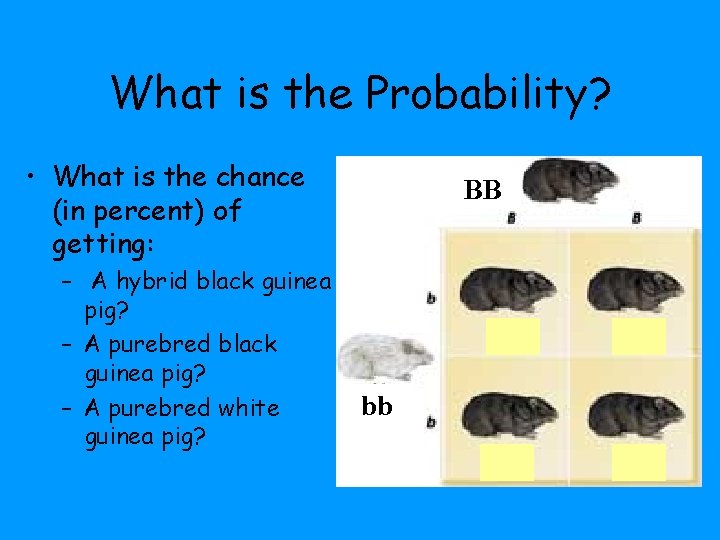 What is the Probability? • What is the chance (in percent) of getting: –