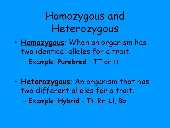 Homozygous and Heterozygous • Homozygous: When an organism has two identical alleles for a