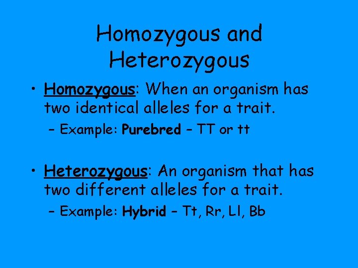 Homozygous and Heterozygous • Homozygous: When an organism has two identical alleles for a Homozygous and Heterozygous • Homozygous: When an organism has two identical alleles for a