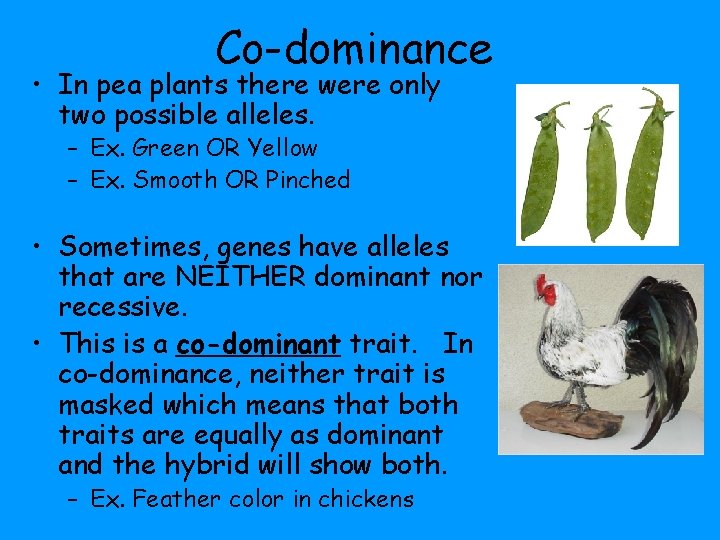 Co-dominance • In pea plants there were only two possible alleles. – Ex. Green