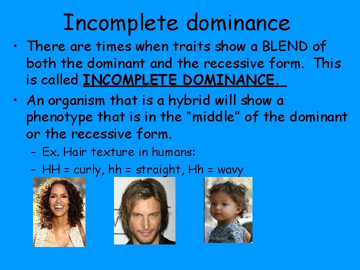 Incomplete dominance • There are times when traits show a BLEND of both the