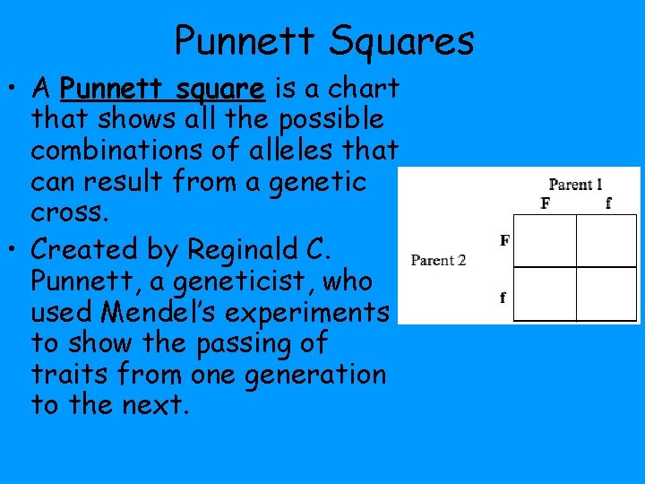 Punnett Squares • A Punnett square is a chart that shows all the possible