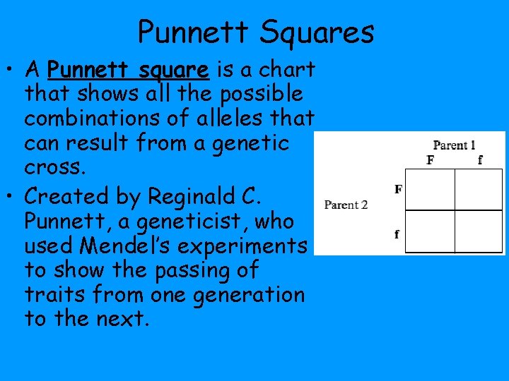 Punnett Squares • A Punnett square is a chart that shows all the possible Punnett Squares • A Punnett square is a chart that shows all the possible