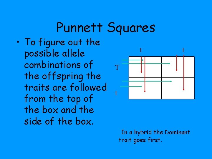 Punnett Squares • To figure out the possible allele combinations of the offspring the
