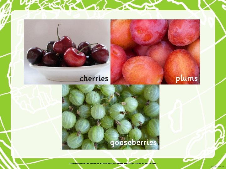 plums cherries gooseberries Photo courtesy of katerha, fsse 8 info and ahisgett (@flickr. com)