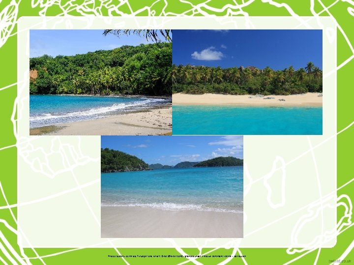 Photo courtesy of mripp, Tkrueger and Mike's Birds (@flickr. com) - granted under creative