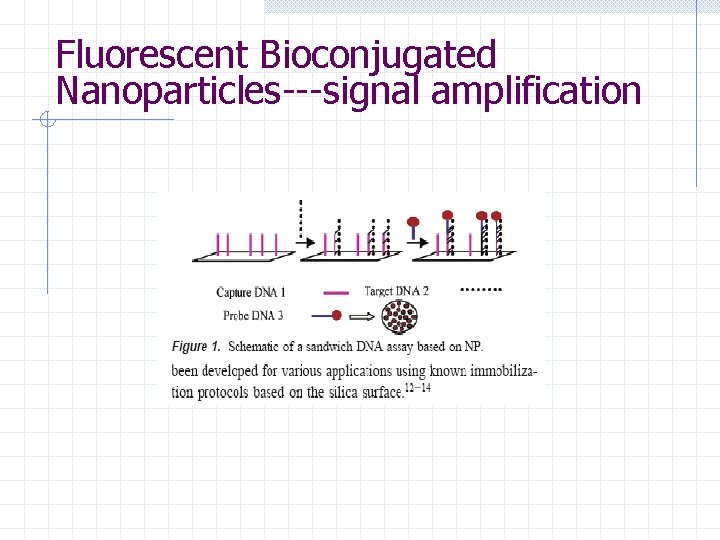 Fluorescent Bioconjugated Nanoparticles---signal amplification 