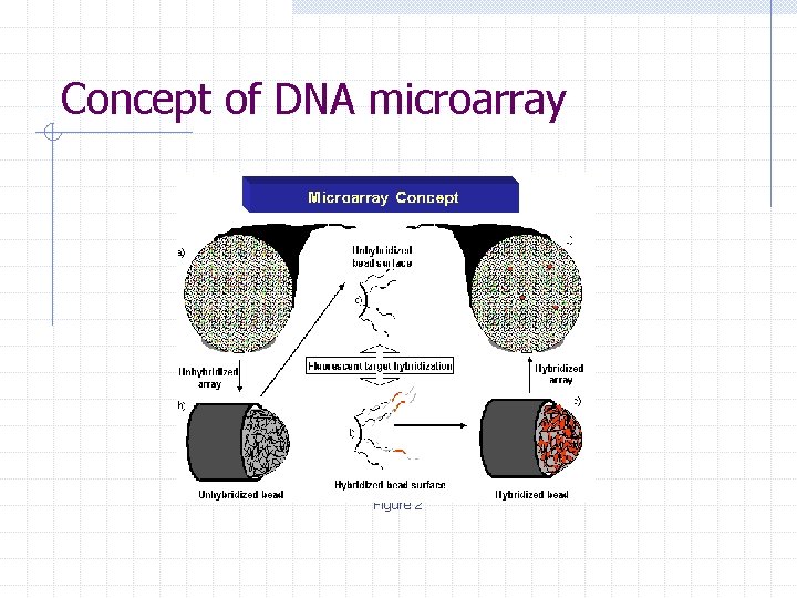  Concept of DNA microarray Figure 2 