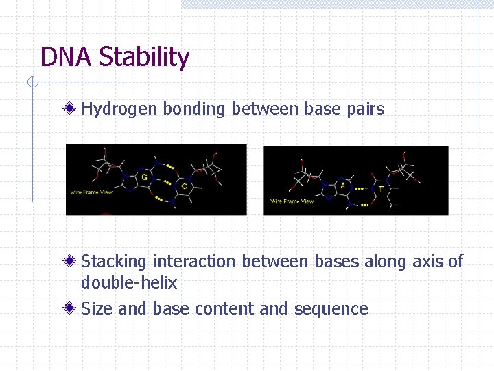 DNA Based Biosensors Yingli Fu Biological Resources Engineering