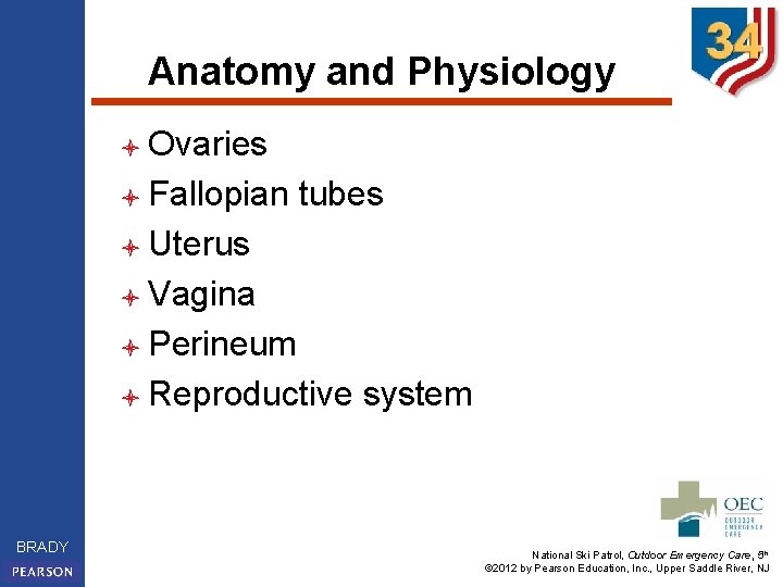 Anatomy and Physiology l Ovaries l Fallopian tubes l Uterus l Vagina l Perineum