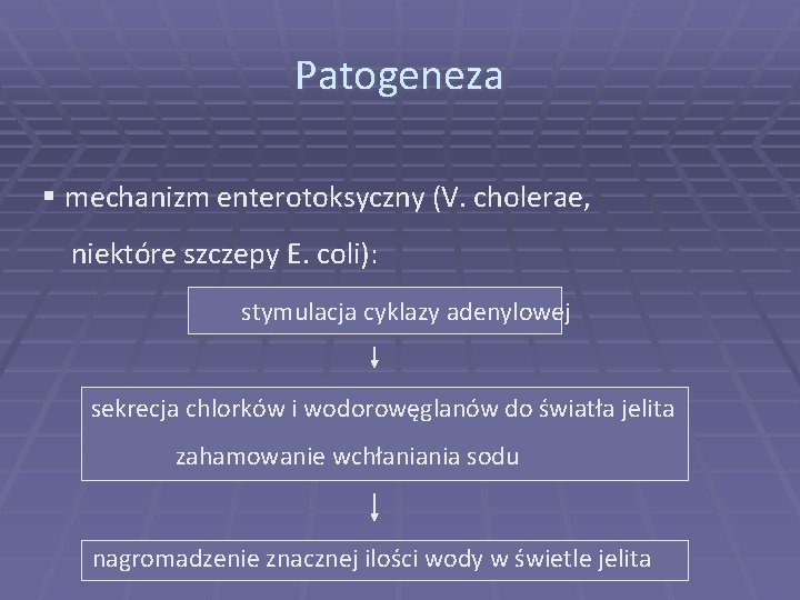 Patogeneza § mechanizm enterotoksyczny (V. cholerae, niektóre szczepy E. coli): stymulacja cyklazy adenylowej sekrecja