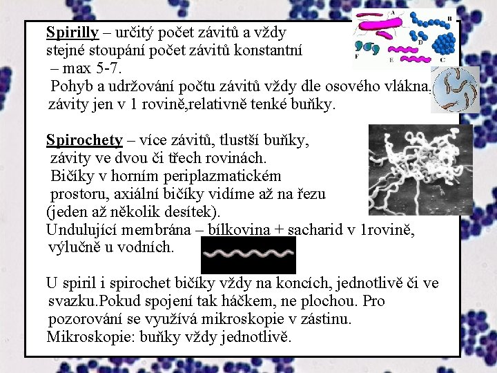  Spirilly – určitý počet závitů a vždy stejné stoupání počet závitů konstantní –