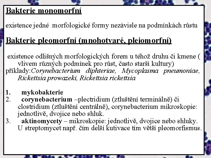 Bakterie monomorfní existence jedné morfologické formy nezávisle na podmínkách růstu Bakterie pleomorfní (mnohotvaré, pleiomorfní)