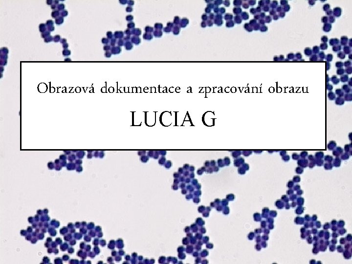 Obrazová dokumentace a zpracování obrazu LUCIA G 