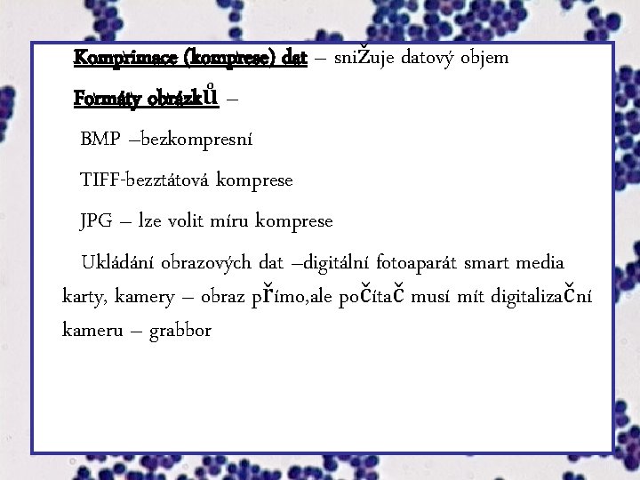  Komprimace (komprese) dat – snižuje datový objem Formáty obrázků – BMP –bezkompresní TIFF-bezztátová