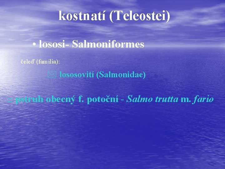 kostnatí (Teleostei) • lososi- Salmoniformes čeleď (familia): * lososovití (Salmonidae) o pstruh obecný f.