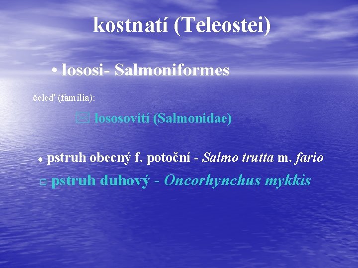 kostnatí (Teleostei) • lososi- Salmoniformes čeleď (familia): * lososovití (Salmonidae) t pstruh obecný f.