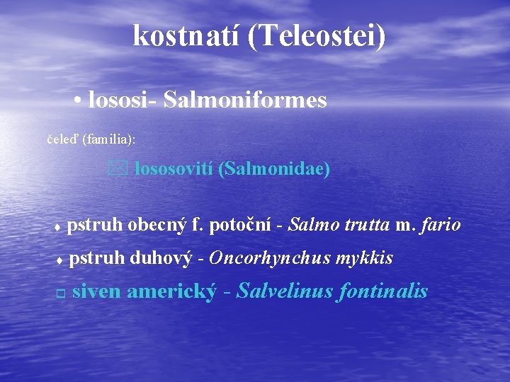 kostnatí (Teleostei) • lososi- Salmoniformes čeleď (familia): * lososovití (Salmonidae) t pstruh obecný f.