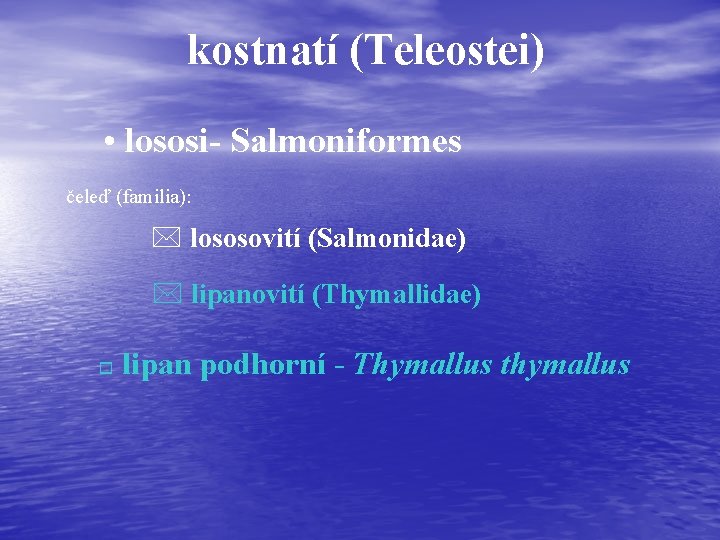 kostnatí (Teleostei) • lososi- Salmoniformes čeleď (familia): * lososovití (Salmonidae) * lipanovití (Thymallidae) o