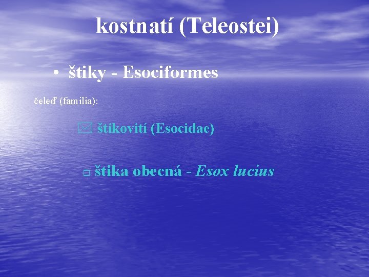 kostnatí (Teleostei) • štiky - Esociformes čeleď (familia): * štikovití (Esocidae) o štika obecná