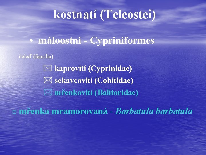 kostnatí (Teleostei) • máloostní - Cypriniformes čeleď (familia): * kaprovití (Cyprinidae) * sekavcovití (Cobitidae)
