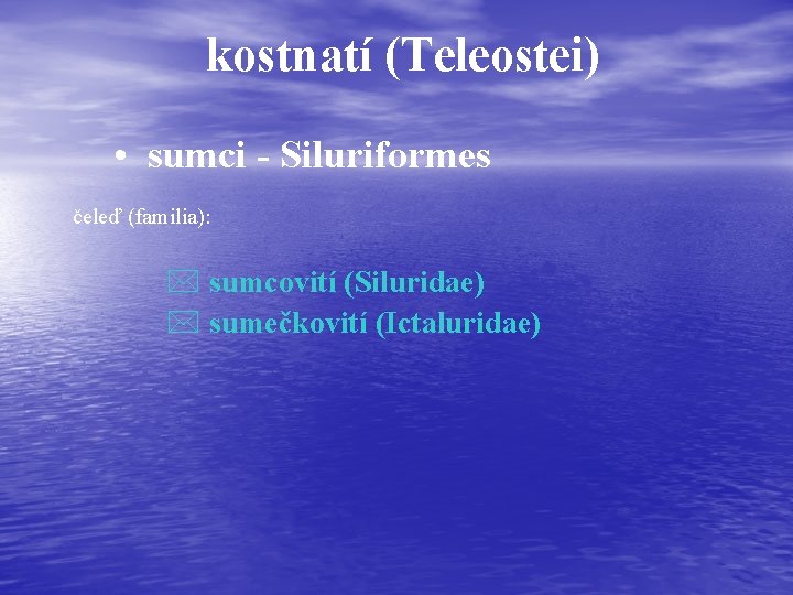 kostnatí (Teleostei) • sumci - Siluriformes čeleď (familia): * sumcovití (Siluridae) * sumečkovití (Ictaluridae)
