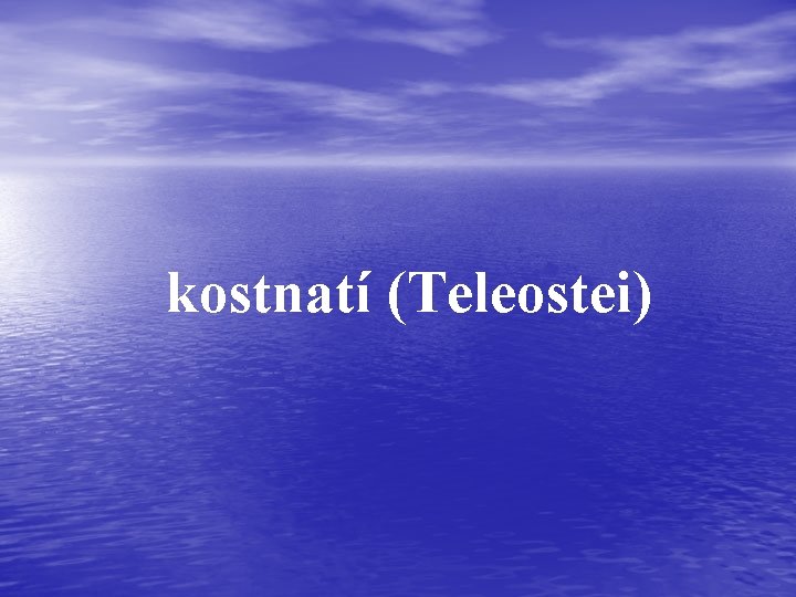 kostnatí (Teleostei) 