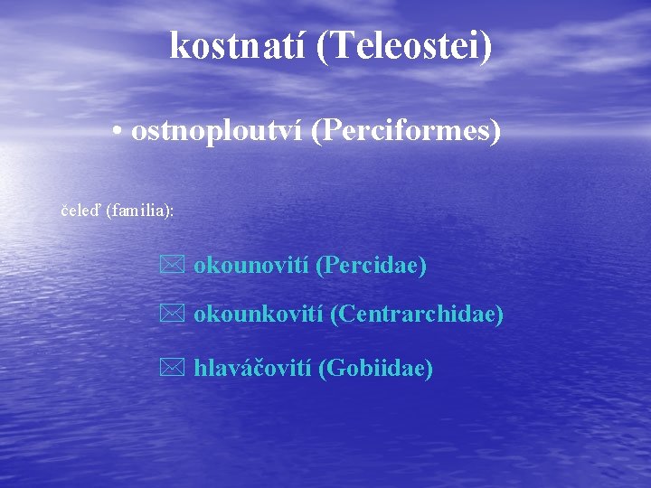 kostnatí (Teleostei) • ostnoploutví (Perciformes) čeleď (familia): * okounovití (Percidae) * okounkovití (Centrarchidae) *