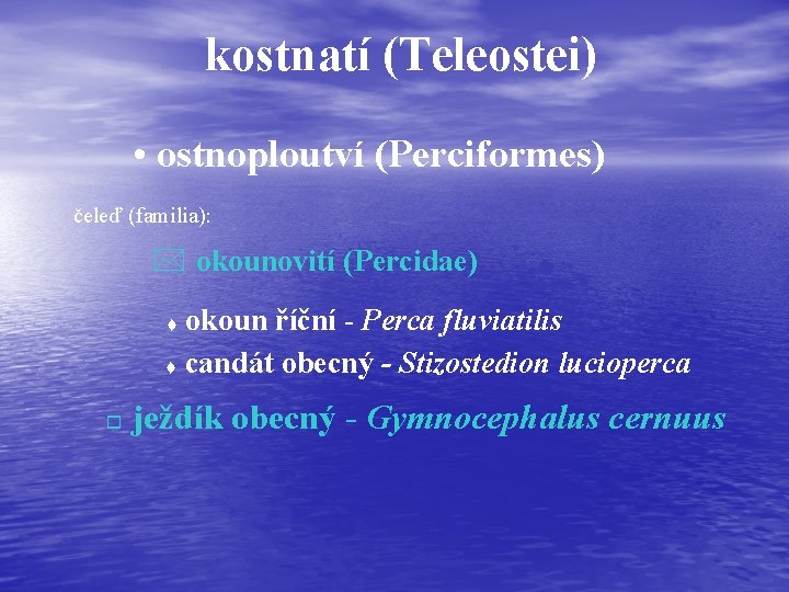 kostnatí (Teleostei) • ostnoploutví (Perciformes) čeleď (familia): * okounovití (Percidae) okoun říční - Perca