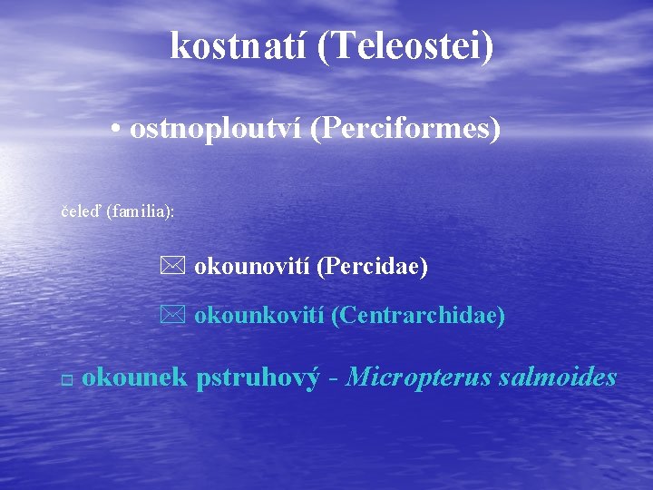 kostnatí (Teleostei) • ostnoploutví (Perciformes) čeleď (familia): * okounovití (Percidae) * okounkovití (Centrarchidae) o