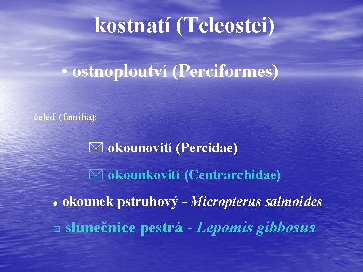 kostnatí (Teleostei) • ostnoploutví (Perciformes) čeleď (familia): * okounovití (Percidae) * okounkovití (Centrarchidae) t