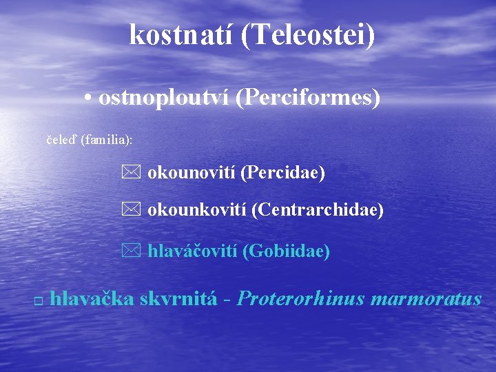 kostnatí (Teleostei) • ostnoploutví (Perciformes) čeleď (familia): * okounovití (Percidae) * okounkovití (Centrarchidae) *