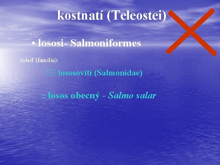 kostnatí (Teleostei) • lososi- Salmoniformes čeleď (familia): * lososovití (Salmonidae) o losos obecný -