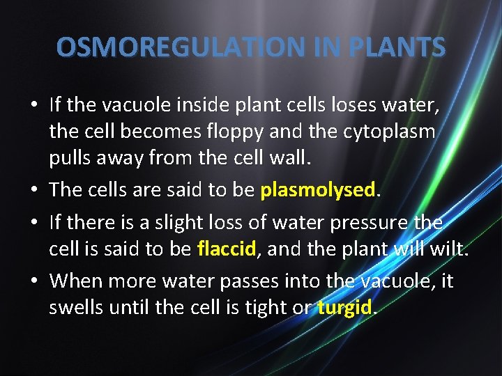 OSMOREGULATION IN PLANTS • If the vacuole inside plant cells loses water, the cell