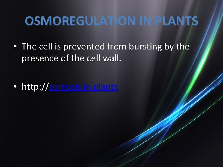 OSMOREGULATION IN PLANTS • The cell is prevented from bursting by the presence of