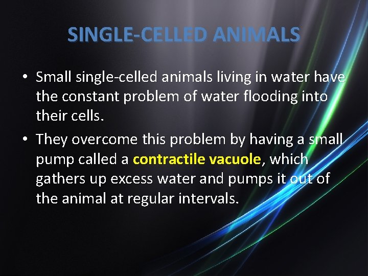 SINGLE-CELLED ANIMALS • Small single-celled animals living in water have the constant problem of